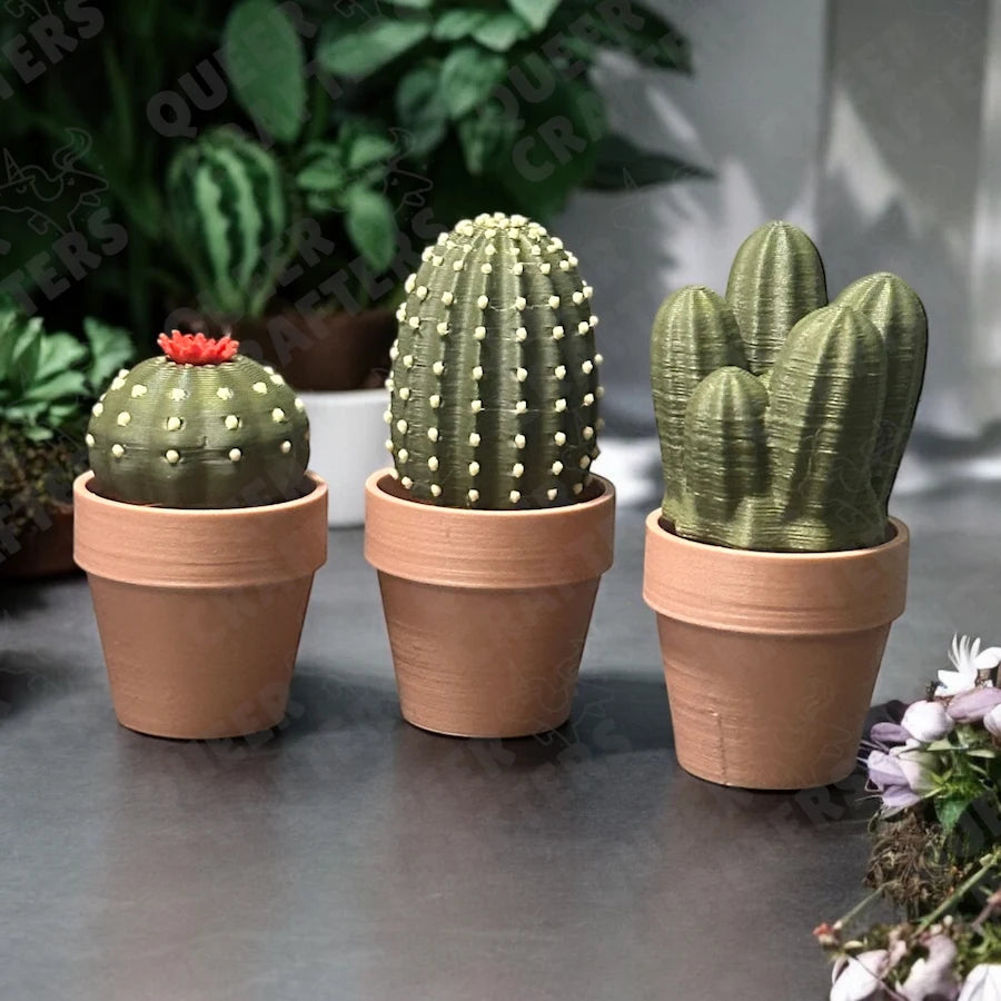 Cacti Clicker Fidgets